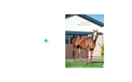 【ナランフレグ】クリアファイル5枚入り 【ふるさと納税 人気 おすすめ ランキング 馬 競馬 競走馬 引退馬 ナランフレグ クリアファイル ファイル 事務用品 文房具 日高 北海道 平取町 送料無料】 BRTV354