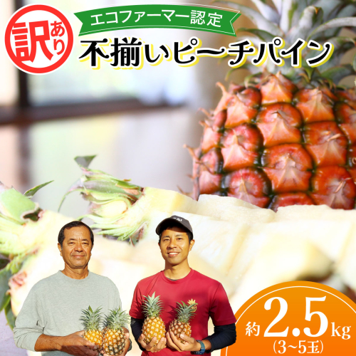 2026年 訳あり　不揃い　ピーチパイン 約2.5kg 2631925 - 沖縄県竹富町