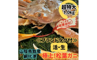 <ブランドタグ付>活！松葉ガニ(超特大ジャンボ)1.0kg 1枚 鳥取網代港 岩美 松葉がに ずわいがに かに ※お届けは2026年11月中旬～【さかなや新鮮組】【22093】