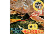 <ブランドタグ付>活！松葉ガニ(特大)900g 1枚 鳥取網代港 岩美 松葉がに ずわいがに かに ※お届けは2026年11月中旬～【さかなや新鮮組】【22095】