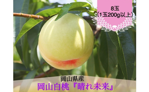 桃 2026年 先行予約 白桃 8玉（1玉200g以上）化粧箱入り もも モモ 岡山県産 国産 フルーツ 果物 ギフト 早生 2632150 - 岡山県玉野市