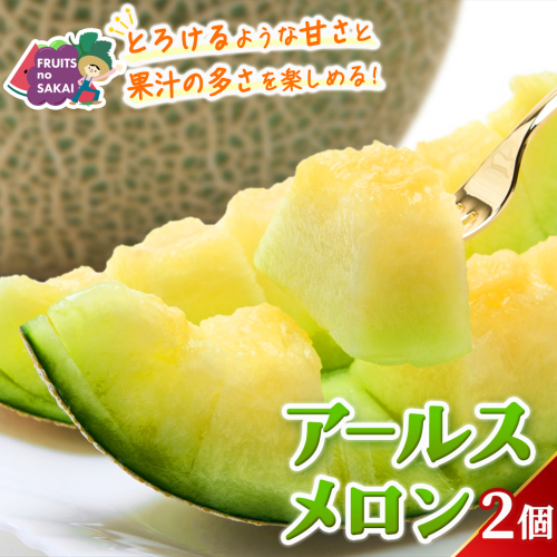アールスメロン 2玉 メロン ギフト 高糖度 甘い 美味しい フルーツ 誕生日 プレゼント ギフト 贈り物 父の日 母の日 2個 [FC34-NT] 2632280 - 茨城県つくばみらい市