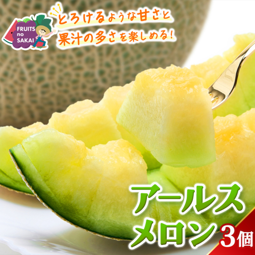 アールスメロン 3玉 メロン ギフト 高糖度 甘い 美味しい フルーツ 誕生日 プレゼント ギフト 贈り物 父の日 母の日 3個 [FC35-NT] 2632281 - 茨城県つくばみらい市