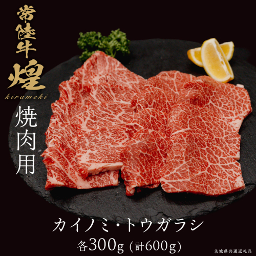 【 常陸牛 煌 】カイノミ・トウガラシ 焼肉用 各300g (計600g) (茨城県共通返礼品) ［化粧箱入り］ 希少部位 牛肉 ブランド牛 きらめき 和牛 黒毛和牛 国産黒毛和牛 国産牛 焼肉 贈答 ギフト 小ザシ お肉 肉 A5ランク 2632745 - 茨城県つくばみらい市