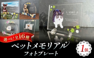 ペットメモリアルフォトプレート【ひまわり】 / 思い出 ペット アクリルスタンド / 稲沢市 / Savoia [BMAN003-08]