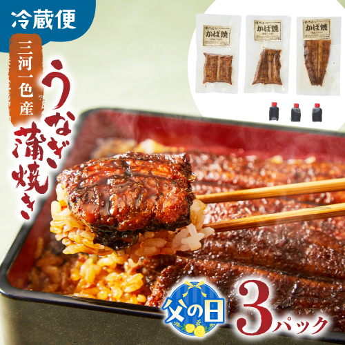 【父の日ギフト】3代目が焼く蒲焼き真空パックA 3パック 国産 うなぎ 蒲焼 鰻 ウナギ 蒲焼 国産 鰻 ウナギ うなぎ 蒲焼き うなぎ蒲焼 土用の丑の日 父の日 ギフト 三重県 多気町 UK-0106 2632971 - 三重県多気町