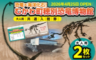【令和8年4月25日OPEN】恐竜×海洋化石！むかわ町穂別恐竜博物館 共通入館券　大人用２枚セット MKWAM004 【 ふるさと納税 人気 おすすめ ランキング むかわ町穂別恐竜博物館 共通入館チケット カムイサウルス むかわ竜 恐竜館 海洋化石館 北海道 観光チケット 家族旅行 レジャー 体験型施設 化石展示 恐竜好き 子供向け 学習スポット 人気観光地 北海道 むかわ町 】