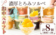 [お中元]新感覚アイス!"濃厚とろみソルベ"4種のこだわり素材を使用したソルベ詰め合わせ♪計8個 常温でお届け♪ スイーツ シャーベット 冷菓 セット 詰め合わせ 果物 フルーツ デザート [00-012-03-R8OC]