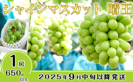 【2025年9月中旬〜10月下旬に発送予定】の先行予約品です。※天候などの影響や育成具合により、発送時期が変動する場合があります。「大粒・種無し・美しい・皮ごと・甘い」と五拍子揃ってご立派。・シャイン