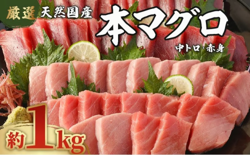 【数量限定】 天然 本マグロ 中トロ・赤身 1kg 国産 マグロ 鮮魚 魚 高知県 室戸市 刺身 刺し身 漬け丼 海鮮丼 おかず 魚介類 海鮮 海産物 まぐろ 本まぐろ 鮪 ブロック 1キロ 惣菜 冷凍 美阿丸 高知県 室戸市 2633612 - 高知県室戸市
