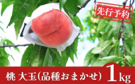 先行予約 桃 約1kg [2026年発送分] 大玉３個 令和8年産もも 新潟フルーツ 新潟県産 モモ [石田フルーツガーデン] 桃【010S911】
