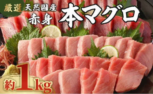 【数量限定】 厳選 天然 本マグロ 赤身 １ｋｇ以上 国産 マグロ 鮮魚 魚 刺身 刺し身 漬け丼 海鮮丼 おかず 魚介類 海鮮 海産物 まぐろ 本まぐろ 鮪 ブロック 1キロ 惣菜 冷凍 美阿丸 高知県 室戸市 2633668 - 高知県室戸市