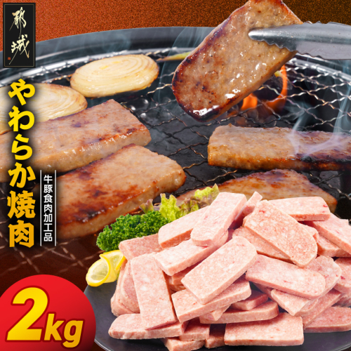 やわらか焼肉2kg【牛豚食肉加工品(成型肉)】_14-36-003-2kg 2633671 - 宮崎県都城市