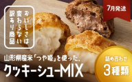 ≪2026年7月発送≫ 訳あり クッキーシュークリーム 3種詰合せ(カスタード、カカオ、アップル) 20個 ご家庭用 お菓子 洋菓子 小分け スイーツ F2Y-6411