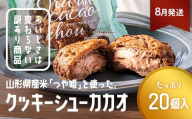 ≪2026年8月発送≫ 訳あり クッキーシュークリーム カカオ味 20個 ご家庭用 お菓子 洋菓子 小分け スイーツ F2Y-6425