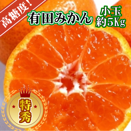 【先行予約】【特秀品】有田みかん 和歌山県産 約5kg（小玉 S～Mサイズ混合） 2634011 - 和歌山県美浜町