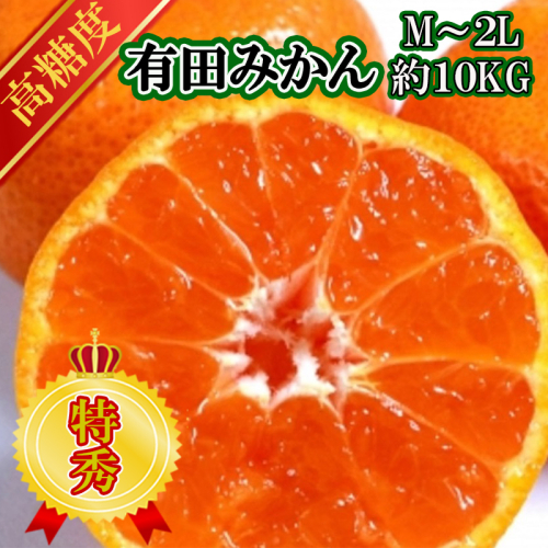 【先行予約】【特秀品】有田みかん 和歌山県産 約10kg（M～2Lサイズ混合） 2634019 - 和歌山県美浜町