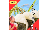 令和7年度産 ヒノヒカリ 白米 5kg ブランド米 米 白米 精米 選べる 国産 食味 白飯 ご飯 もちもち 特A評価 ひのひかり こめ お米 okome kome おむすび おにぎり弁当 美味しい 朝食 取り寄せ 魚 肉 の おかず にあう 福岡県 柳川市 宝物産