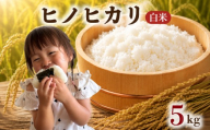 【先行予約】 令和8年度産 ヒノヒカリ 白米 5kg 【令和8年12月上旬より順次発送】 ブランド米 米 白米 精米 選べる 国産 食味 白飯 ご飯 もちもち 特A評価 ひのひかり こめ お米 okome kome おむすび おにぎり弁当 美味しい 朝食 取り寄せ 魚 肉 の おかず にあう 福岡県 柳川市 宝物産