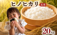 【先行予約】令和8年度産 ヒノヒカリ 玄米 20kg 【令和8年12月上旬より順次発送】 ブランド米 米 玄米 国産 食味 白飯 ご飯 もちもち 特A評価 ひのひかり こめ お米 okome kome おむすび おにぎり弁当 美味しい 朝食 取り寄せ 魚 肉 の おかず にあう 福岡県 柳川市 宝物産