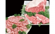 紀和牛極上焼肉1ｋｇ＋ サーロインステーキ3枚（600g）セット　TM-29