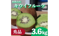 【先行受付】【まごころ手選別】　和歌山産　キウイフルーツ　約3.6kg(サイズ混合)　秀品【2027年1月25日～2027年3月31日発送予定】【AS90052-uts069】