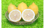 【まごころ手選別】和歌山県産　レモン 秀品 約2kg (サイズ混合) 【2027年1月15日～2027年4月30日発送予定】【AS90053-uts070】