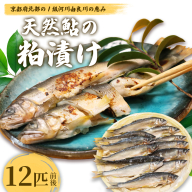 天然鮎の粕漬け 12匹 【 由良川漁協 あゆ 鮎 アユ 魚 魚介 川魚 海鮮 漬け魚 粕漬け 酒粕 天然 大人 贅沢 おつまみ 酒の肴 珍味 舞鶴 京都 】