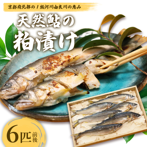 天然鮎の粕漬け 6匹 【 由良川漁協 あゆ 鮎 アユ 魚 魚介 川魚 海鮮 漬け魚 粕漬け 酒粕 天然 大人 贅沢 おつまみ 酒の肴 珍味 舞鶴 京都 】  2634809 - 京都府舞鶴市
