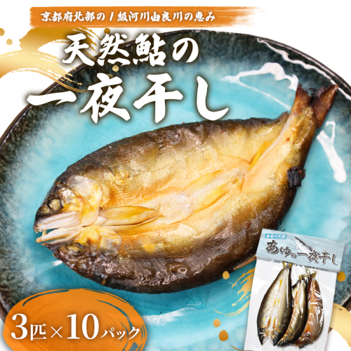 天然鮎 一夜干し 10パック（30匹） 【 由良川漁協 あゆ 鮎 アユ 魚 魚介 川魚 海鮮 一夜干し 鮎の一夜干し 干物 天然 熟成 舞鶴 京都 】  2634810 - 京都府舞鶴市