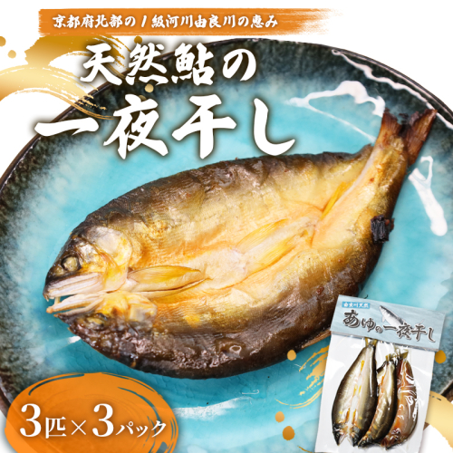 天然鮎 一夜干し 3パック（9匹） 【 由良川漁協 あゆ 鮎 アユ 魚 魚介 川魚 海鮮 一夜干し 鮎の一夜干し 干物 天然 熟成 舞鶴 京都 】  2634812 - 京都府舞鶴市