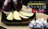 【定期便3回】水なすぬか漬5個セット [ 野菜 やさい 漬物 水なす ][№5385-1282]