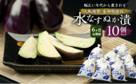 【定期便6回】水なすぬか漬10個セット [ 野菜 やさい 漬物 水なす ][№5385-1285]