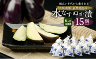 【定期便6回】水なすぬか漬15個セット [ 野菜 やさい 漬物 水なす ][№5385-1287]