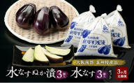 【定期便3回】水なすぬか漬3個入と水なす3個入セット [ 野菜 やさい 漬物 水なす ][№5385-1288]