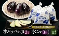 【定期便6回】水なすぬか漬3個入と水なす3個入セット [ 野菜 やさい 漬物 水なす ][№5385-1289]