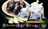【定期便6回】水なすぬか漬5個入と水なす6個入セット [ 野菜 やさい 漬物 水なす ][№5385-1291]