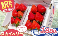 【定期便3回】訳あり 粒不揃い スカイベリー  1,680g (280g×6P) | 栃木県 矢板市 澳原いちご農園