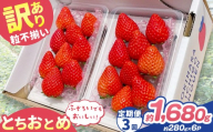 【定期便3回】訳あり 粒不揃い とちおとめ  1,680g (280g×6P) | 栃木県 矢板市 澳原いちご農園