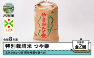 【先行予約】 【玄米2回定期便】 新米 米 つや姫 30kg 玄米 令和8年産 特別栽培米 2027年4月・2027年7月発送 ※沖縄・離島への配送不可 ja-tsgxb30x2-tkk4to7