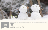 天然の雪 100サイズ分 催物 山形県村山市 rk-snxxx100