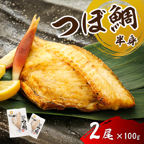 干物界の最高級魚 厳選した つぼ鯛 半身（100g×2尾）｜ ツボダイ ツボ鯛 一夜干し 干物 ひもの 魚干物 つぼだい 無添加 小分け 個包装 白身魚 焼魚 焼き魚 魚 冷凍 スピード発送 すぐ届く 魚干物 海鮮 絶品 人気 笹谷商店 直営 釧之助本店 せんのすけ 高級 すぐ発送 北海道 釧路町 釧路超 特産品 2635061 - 北海道釧路町