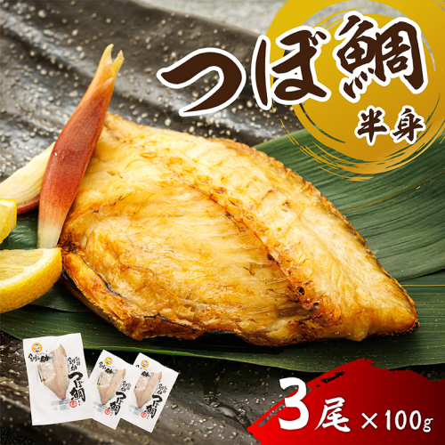 干物界の最高級魚 厳選した つぼ鯛 半身（100g×3尾）｜ ツボダイ ツボ鯛 一夜干し 干物 ひもの 魚干物 つぼだい 無添加 小分け 個包装 白身魚 焼魚 焼き魚 魚 冷凍 スピード発送 すぐ届く 魚干物 海鮮 絶品 人気 笹谷商店 直営 釧之助本店 せんのすけ 高級 すぐ発送 北海道 釧路町 釧路超 特産品 2635065 - 北海道釧路町