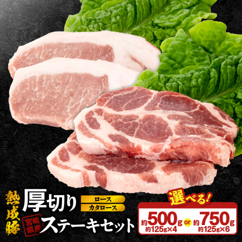 宮崎県産熟成豚 厚切りステーキセットA（カタロースステーキ/ロースステーキ）N0105-YA2279-sku 2635488 - 宮崎県延岡市