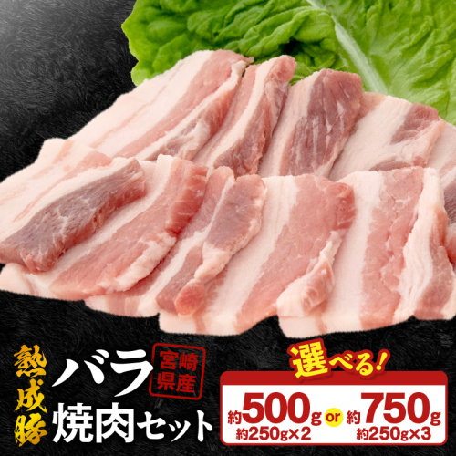 宮崎県産熟成豚 バラ焼肉セット N0105-YA2282-sku 2635491 - 宮崎県延岡市