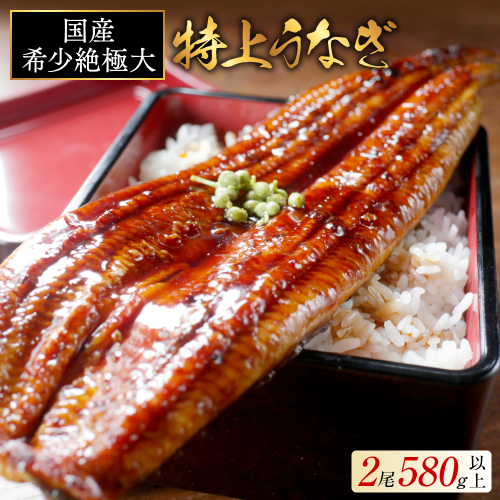 国産 希少 超極大 特上うなぎ(290g×2尾) 2635678 - 北海道別海町