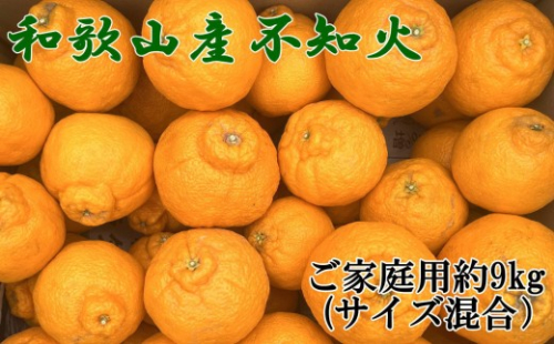 「農園直送」和歌山県産不知火 もりもりの約9kg（サイズ混合 ご家庭用）★2027年2月下旬頃より順次発送 ［TM258］ 2635683 - 和歌山県那智勝浦町