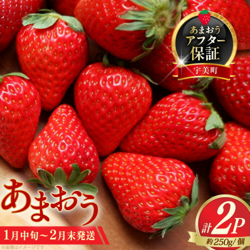 いちご あまおう 先行予約 約250g×2P 1月中旬 2月末 【2027年発送】 [一千也フーズ 福岡県 宇美町 um40azp140007] 苺 イチゴ フルーツ ストロベリー 甘い あまい 季節限定 期間限定 2027 2635686 - 福岡県宇美町