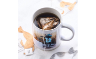 保護猫も助かる美味しいコーヒーセット(計10パック)【1735781】