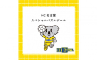 HC名古屋 スペシャルパズルボール 【トップスポーツチーム活動支援事業寄附金専用】